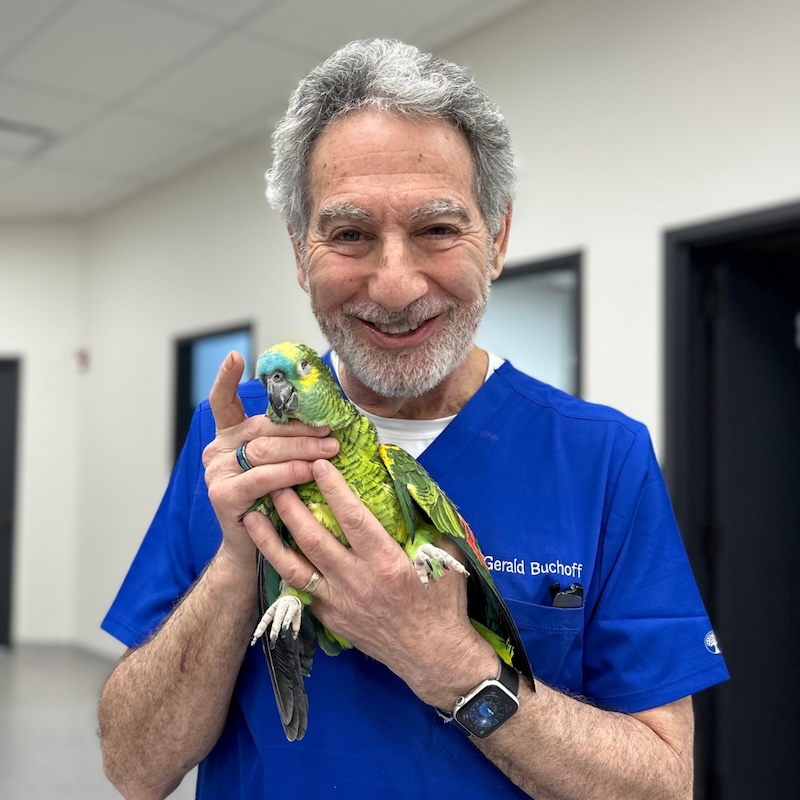 Dr. Gerald Buchoff
